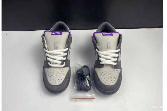 Pigeon Dunk Nike 304292-051 Low Purple SB 0921